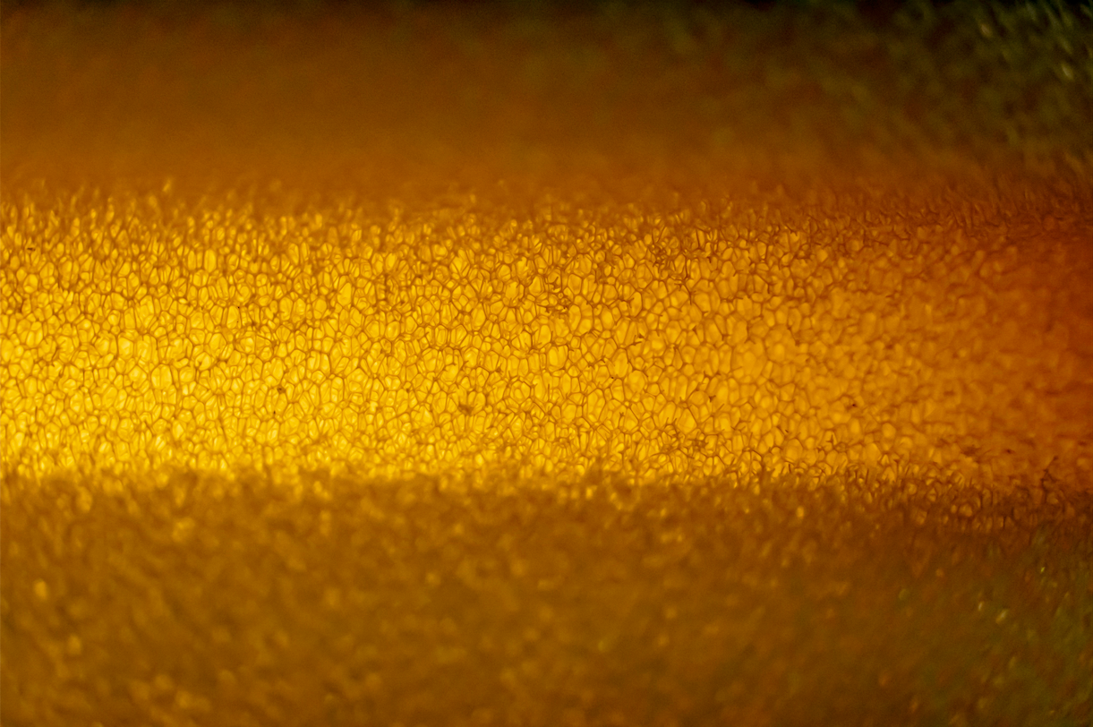 Load video: Introducing the Sennosystem — The Future of Fermentation Technology